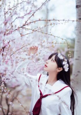 91蕾丝视频_BD国语在线播放观看